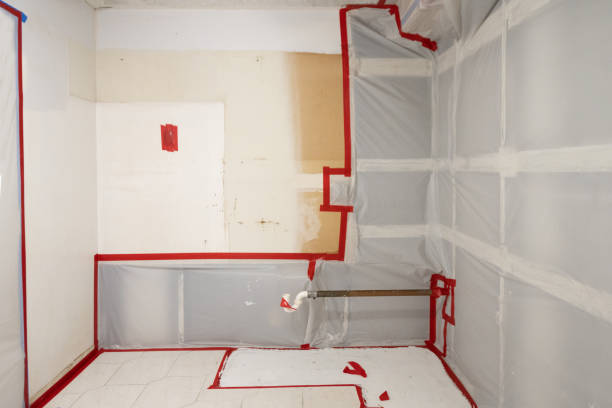 Environmental Consulting for Mold Prevention in Cheswold, DE