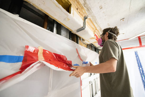 Best Post-Construction Mold Inspection  in Cheswold, DE