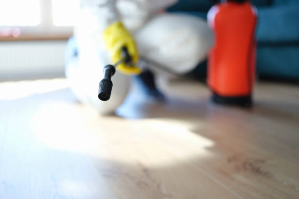 Asbestos and Lead Testing During Mold Inspection in Cheswold, DE