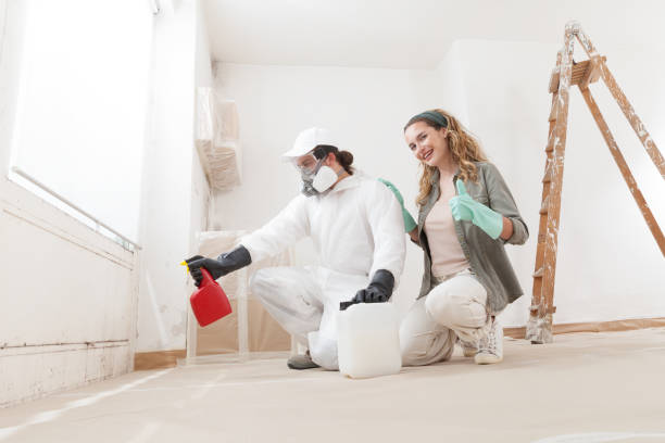 Best Crawl Space Mold Remediation  in Cheswold, DE