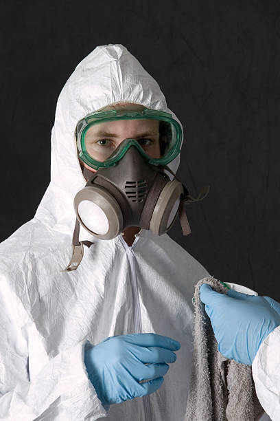 Best Black Mold Removal  in Cheswold, DE